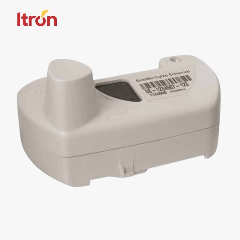 EverBlu Cyble Enhanced | Modul Radio AMR/AMI