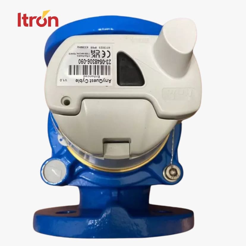 Itron Woltex M 2 Inch + AnyQuest Enhanced Cyble
