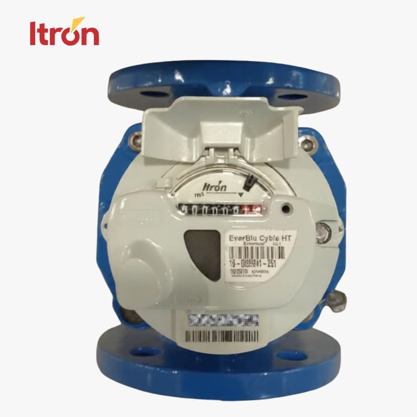 Water Meter Itron Woltex M DN50 (2 Inch) + EverBlu Cyble