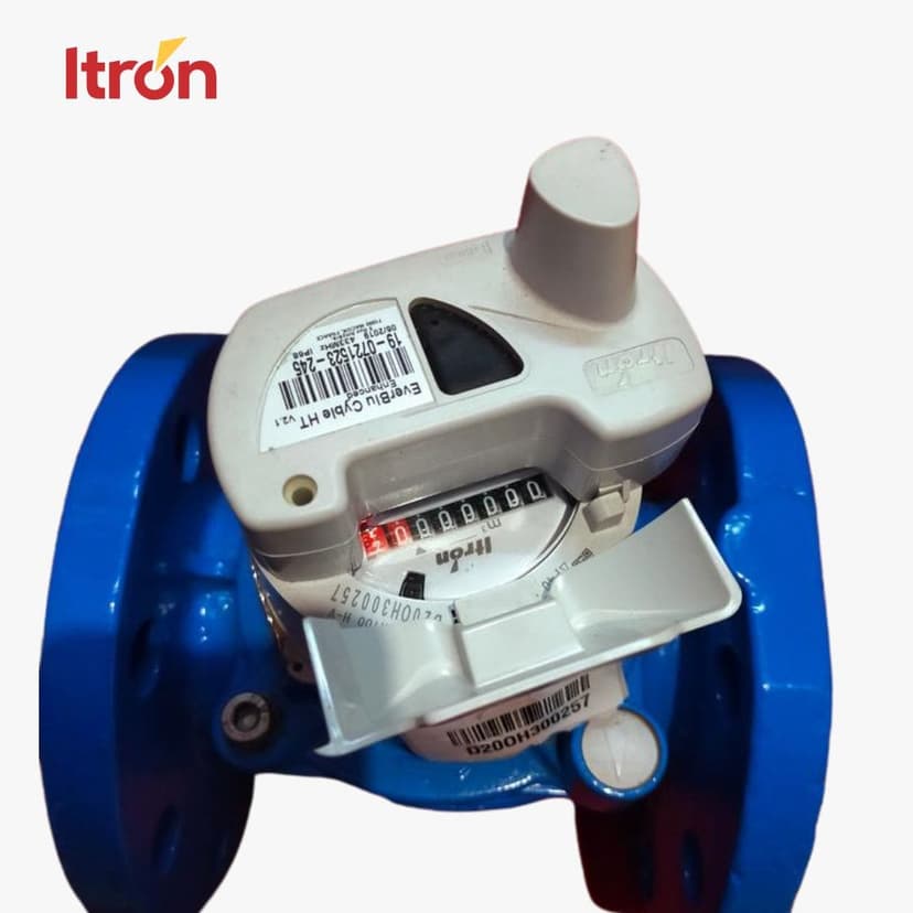 Water Meter Itron Woltex M D80 (3 Inch) + EverBlu Cyble
