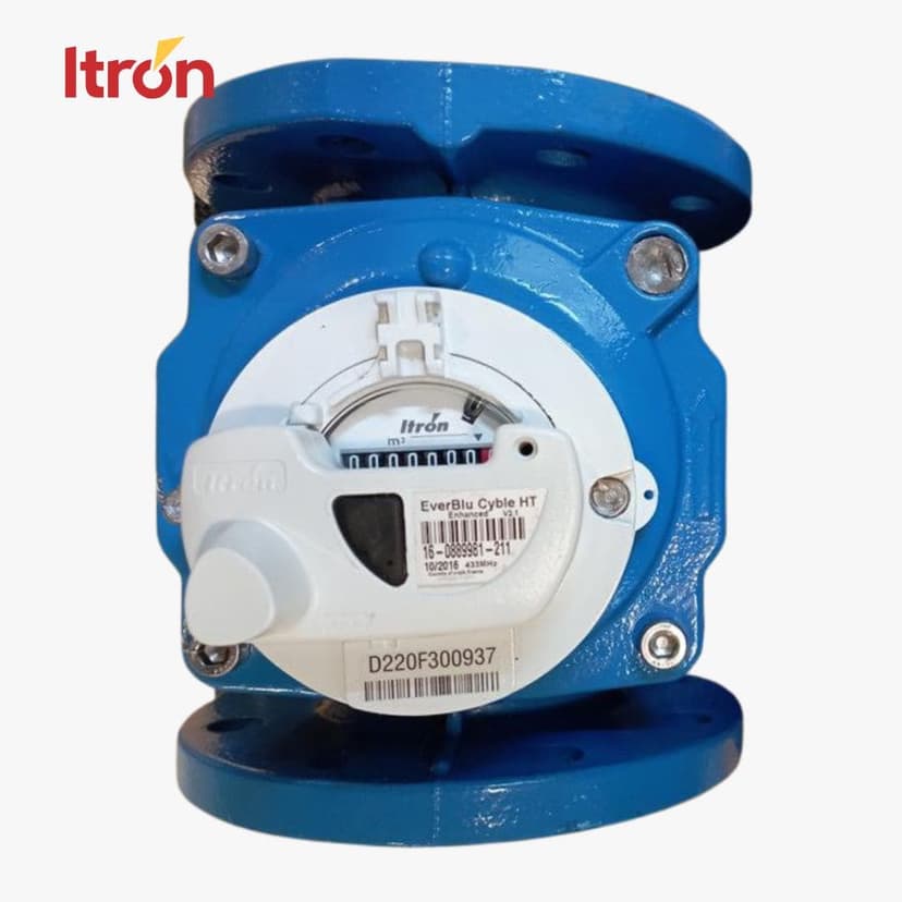 Itron Woltex M D100 (4 Inch) + EverBlu Cyble