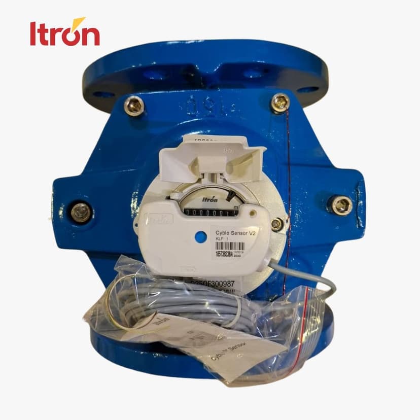 Itron Woltex M D150 (6 Inch) + Cyble Sensor V2