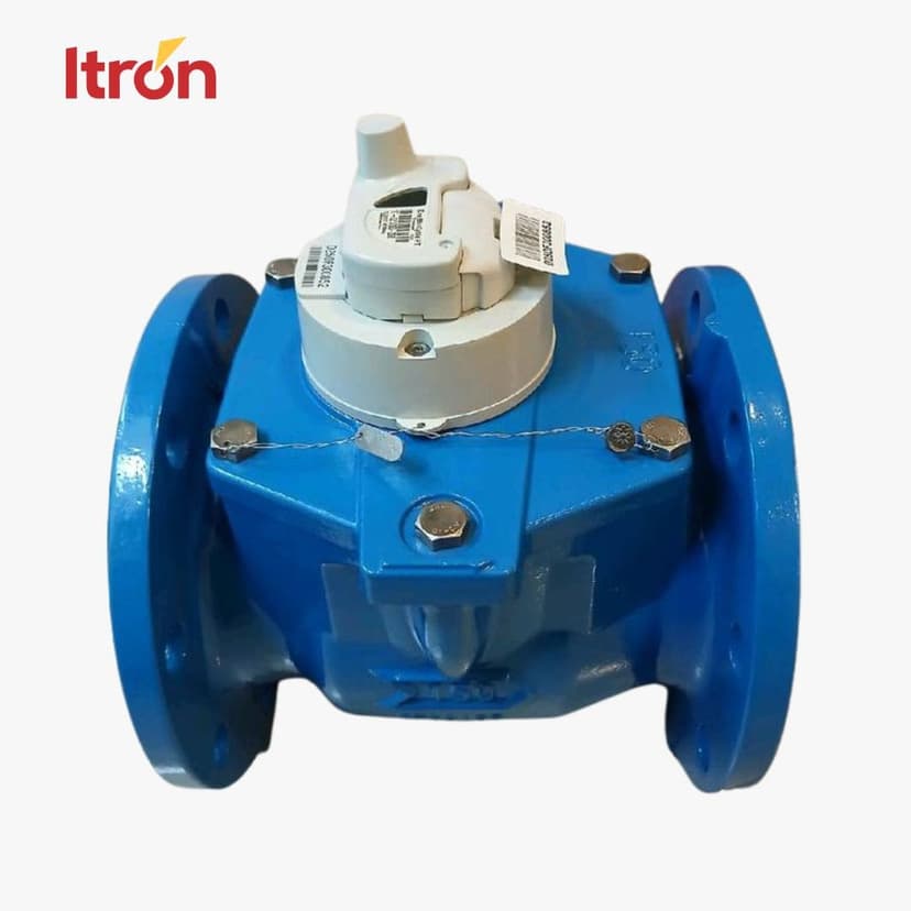 Itron Woltex M D150 (6 Inch) + EverBlu Cyble