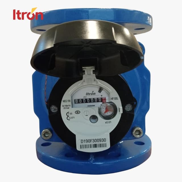 Water Meter Itron Woltex M 4 Inch (DN 100)
