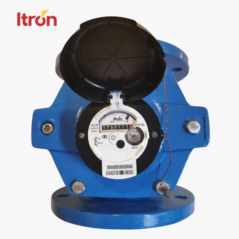 Water Meter Itron Woltex M 6 Inch (DN 150)