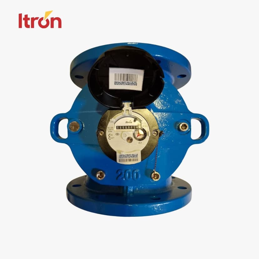Water Meter Itron Woltex M 8 Inch (DN 200)