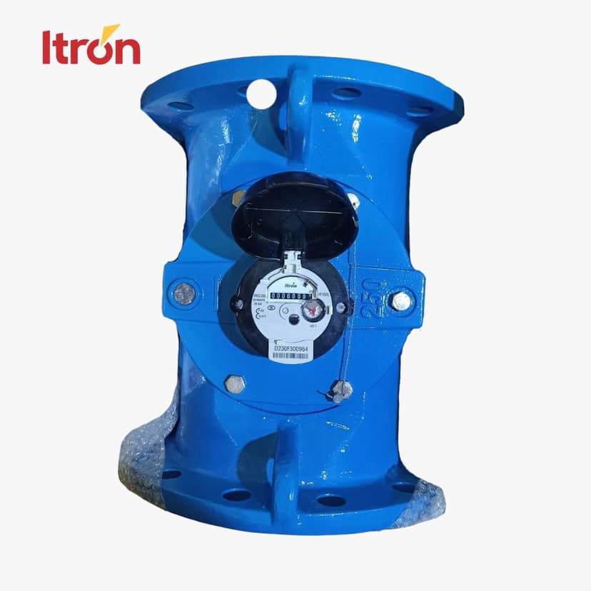 Water Meter Itron Woltex M 10 Inch (DN 250)