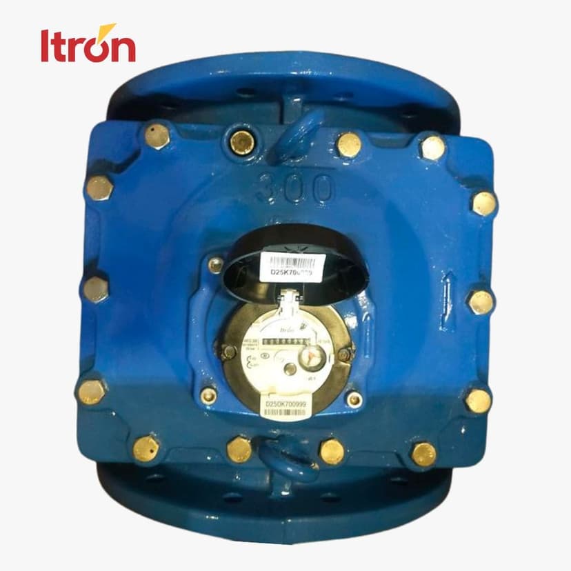 Water Meter Itron Woltex M 12 Inch (DN 300)
