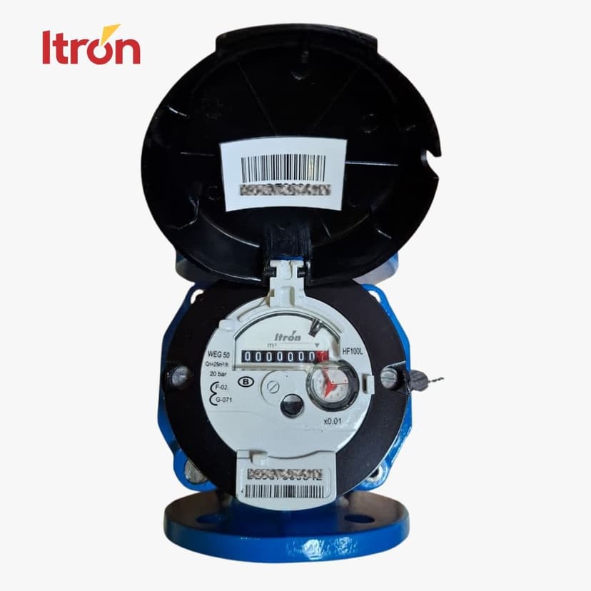 Water Meter Itron Woltex M 2 Inch (DN50)