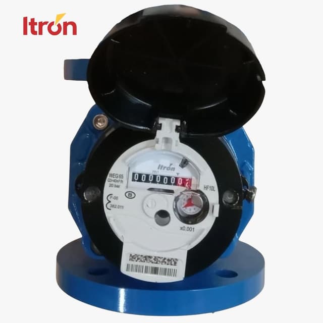 Water Meter Itron Woltex M 2 1/2 Inch (DN 65)