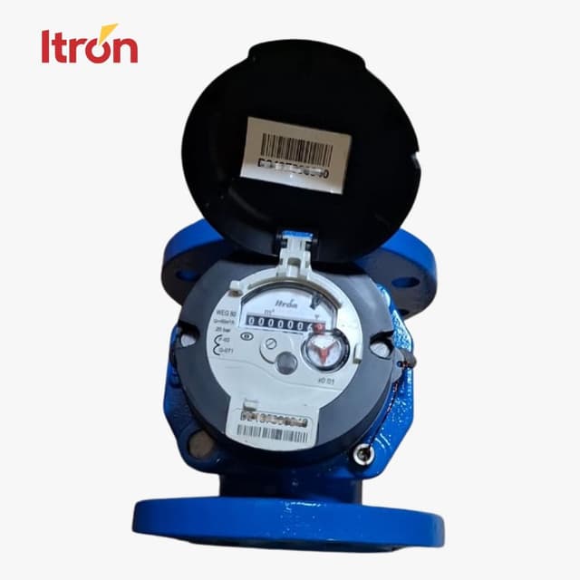 Water Meter Itron Woltex M 3 Inch (DN 80)