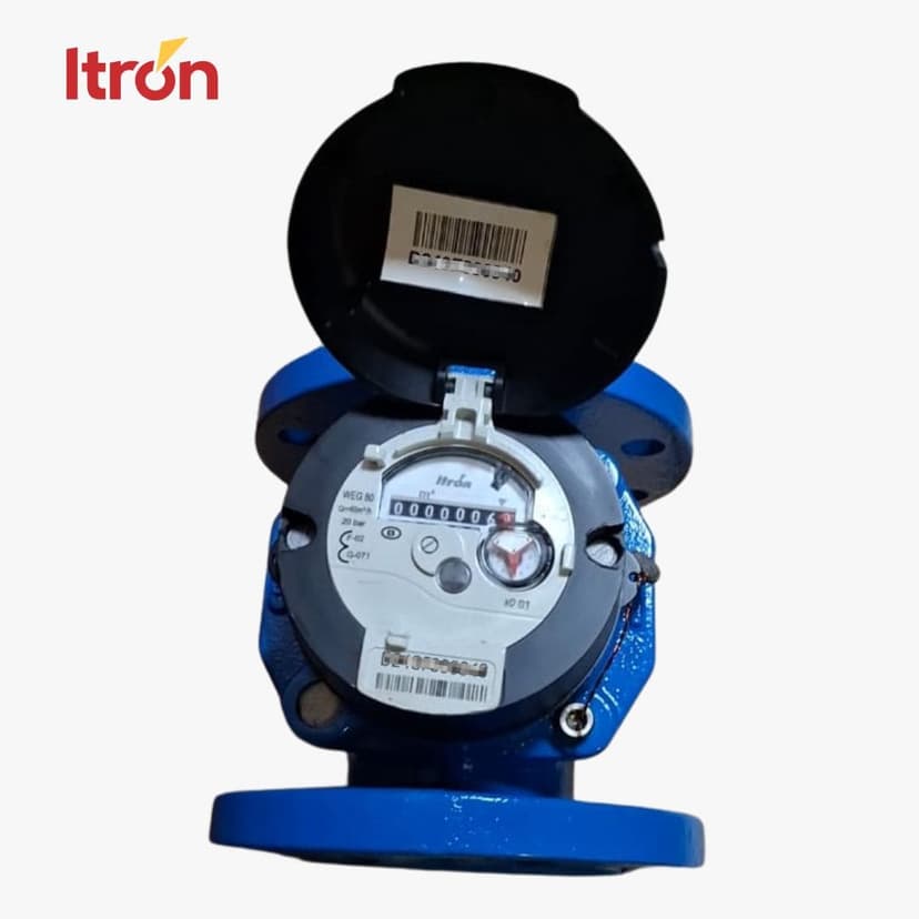 Water Meter Itron Woltex M 3 Inch (DN 80)